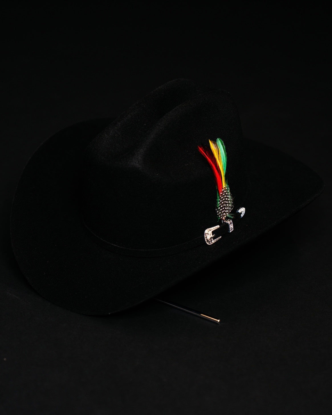 TENNESSEE 100X SINALOA NEGRO