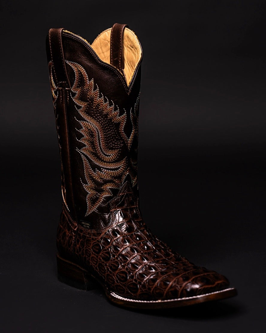 REYME CAIMAN HORNBACK BROWN 077